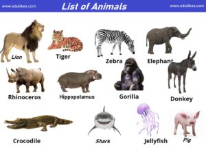 List of Animals A-Z List | Types of Animals | Common Animals