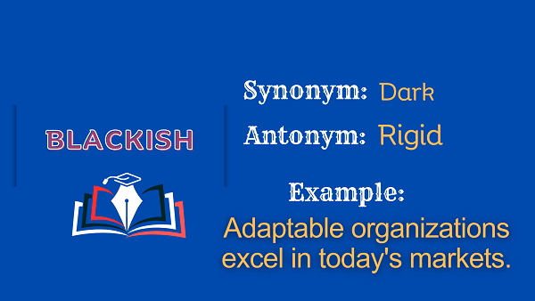 Blackish - Definition, Meaning, Synonyms & Antonym