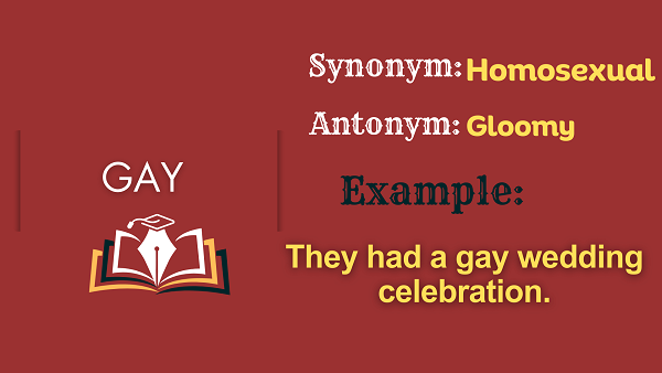 Gay - Definition, Meaning, Synonyms & Antonyms