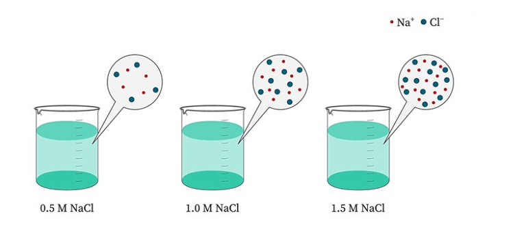 Understanding Molarity Calculator A Comprehensive Guide