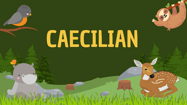 Caecilian | Facts, Diet, Habitat & Pictures