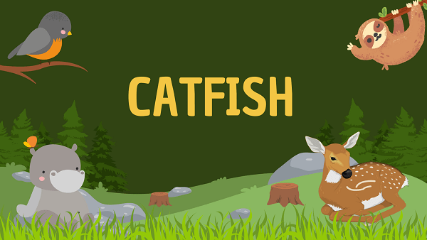 Catfish | Facts, Diet, Habitat & Pictures