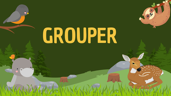 Grouper | Facts, Diet, Habitat & Pictures