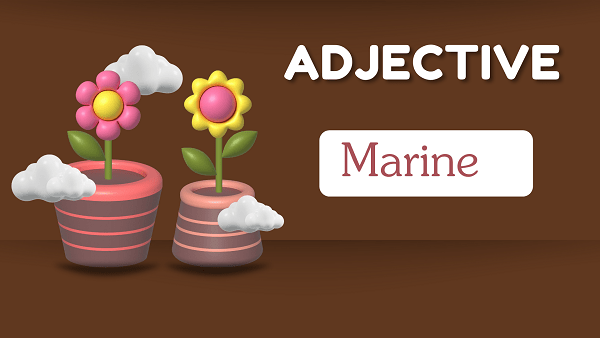 marine-definition-meaning-synonyms-antonym