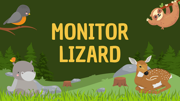 Monitor Lizard | Facts, Diet, Habitat & Pictures
