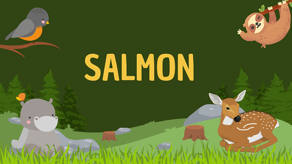 Salmon | Facts, Diet, Habitat & Pictures