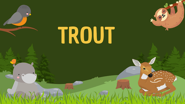 Trout | Facts, Diet, Habitat & Pictures