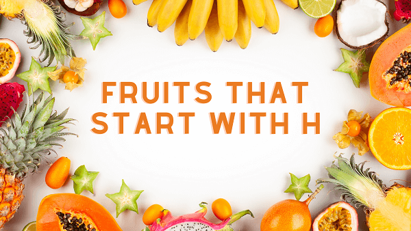 Fruits that Start with H